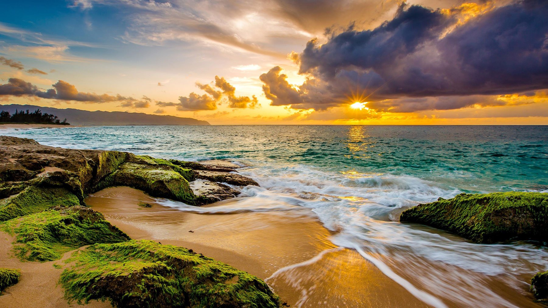 Elevate-Hawaii-1