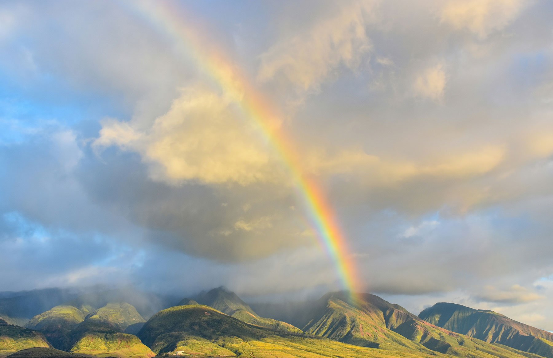 Elevate-Hawaii-6