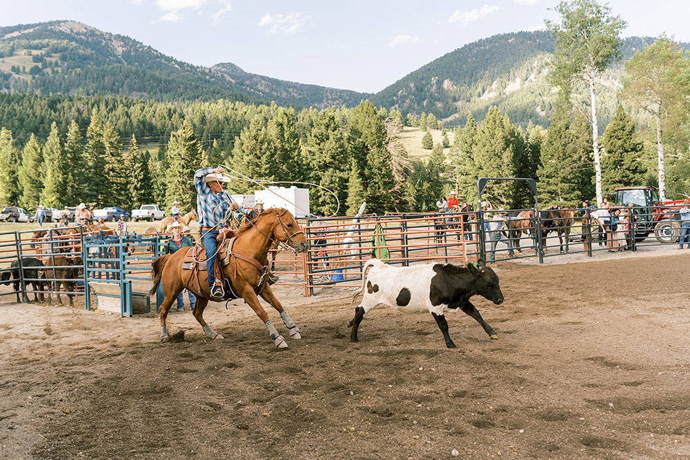 Lone Mountain Rodeo